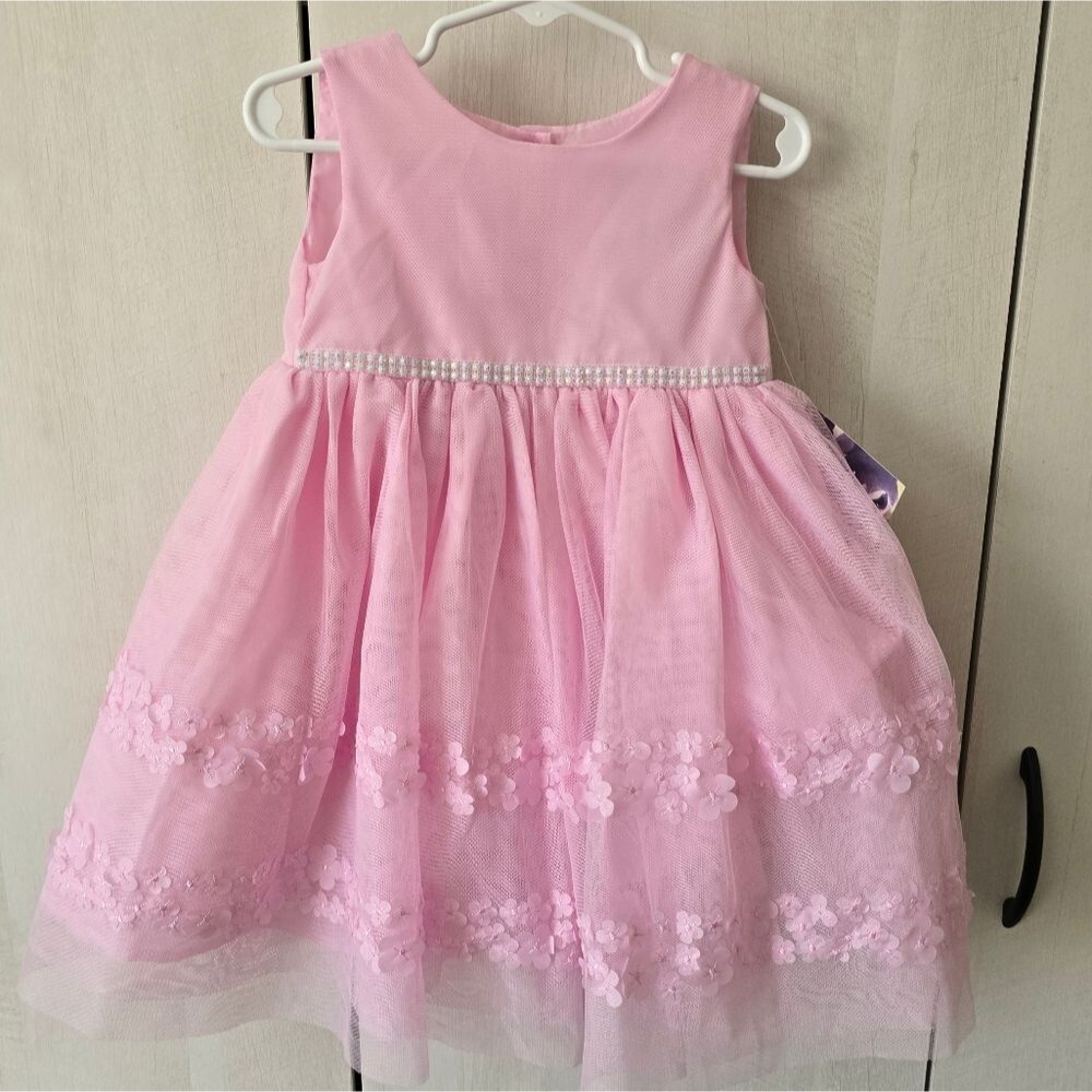 Blueberi Boulevard Baby Girls Embroidered Embellishment mesh dress 24 months